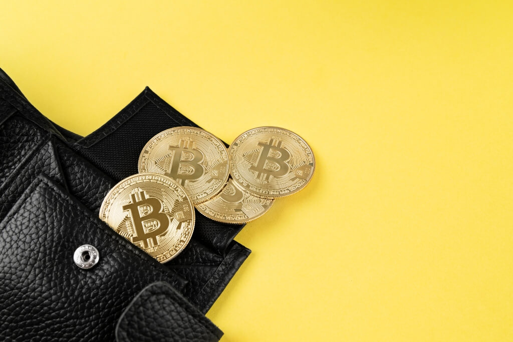 Cómo Certificar La Trazabilidad De Criptomonedas